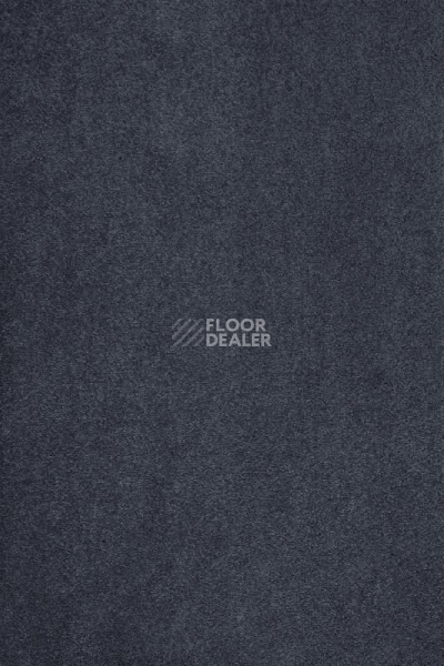 Ковролин AW Masquerade Kai 79 фото 1 | FLOORDEALER